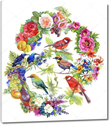Красочные птицы с цветами и фруктами