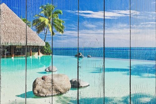 Пейзажный бассейн с пальмами с видом на океан