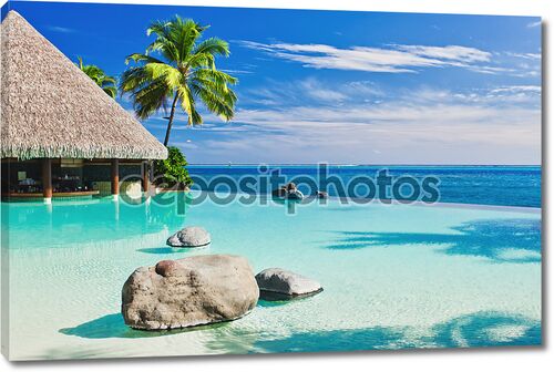 Пейзажный бассейн с пальмами с видом на океан
