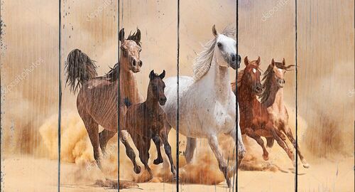 Лошади в песчаной пыли