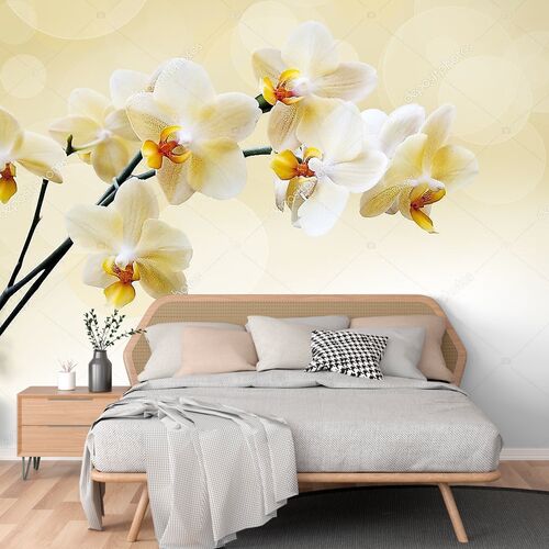 Красивая белая орхидея с желтыми серединками