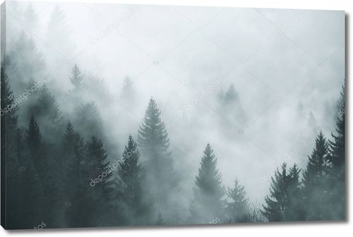 Лес в утреннем тумане
