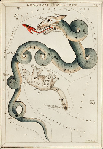 Астрономическая карта Дракона и Малой Медведицы, сделанная Сидни Холлом