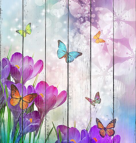 Бабочки над цветками