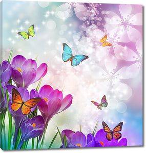 Бабочки над цветками