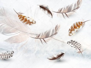 Несколько серых и бежевых перьев