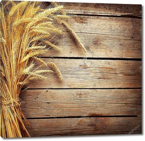Колосья пшеницы на досках