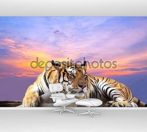 Тигр с красивым небом на закате