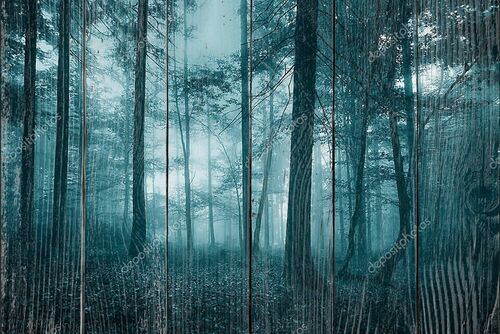 Туманный лесной пейзаж бирюзового цвета