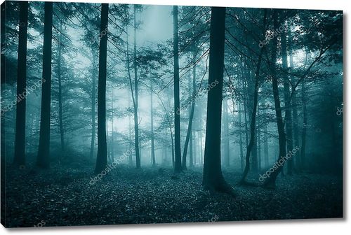 Туманный лесной пейзаж бирюзового цвета