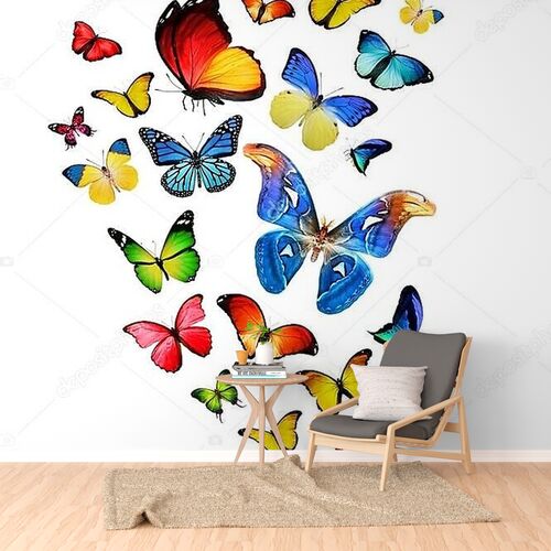 Flock of colorful butterflies