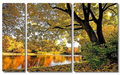 Осенние деревья на реке