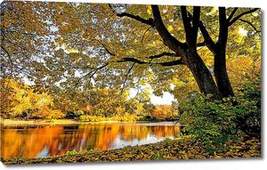 Осенние деревья на реке