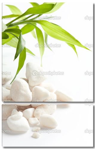 Белый камень с зелеными листьями