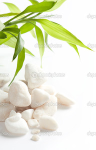 Белый камень с зелеными листьями