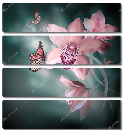 Орхидеи с бабочкой на цветном фоне