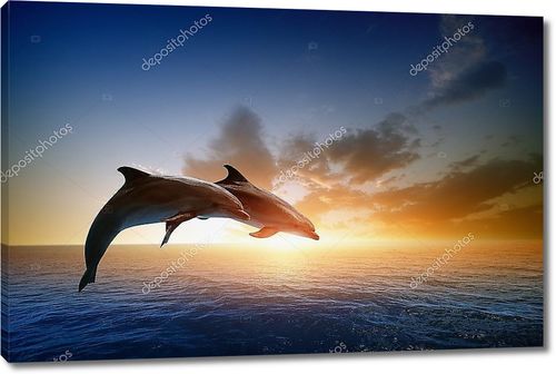 Пара дельфинов в прыжке
