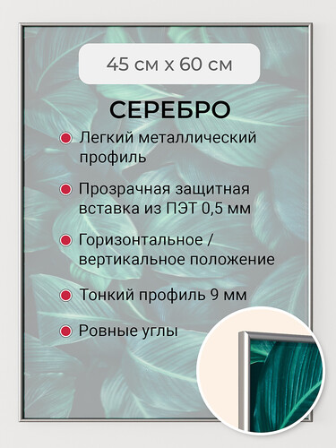 Серебро 45х60 см