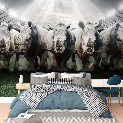 Носороги на футбольном поле