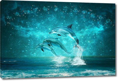 Три дельфина под созвездиями