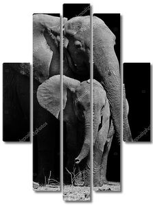 Слон мать и ребенок