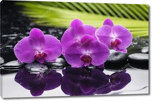 Орхидея с камнями дзен и пальмовым листом