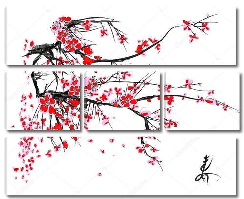 Сакура цветет на белом фоне