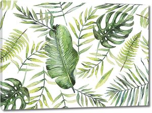 Разнообразные листья пальм