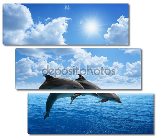 Прыжки дельфинов на фоне облачного неба