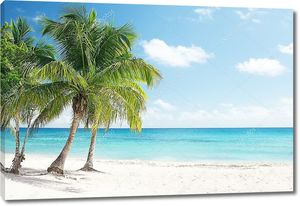 Карибское море с белоснежными пляжами