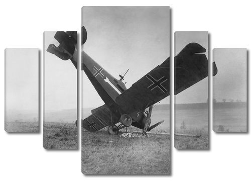 Сбитый немецкий самолет американскими пулеметчиками