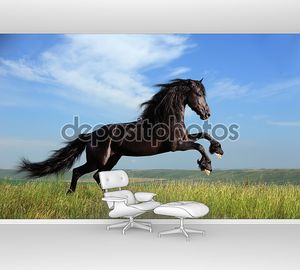 Красивый черный конь, играя на поле