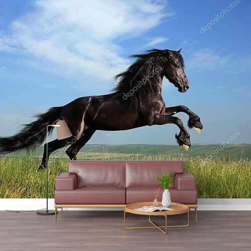 Красивый черный конь
