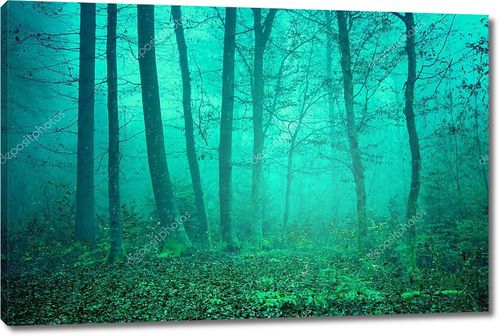 Мечтательный зеленый лес