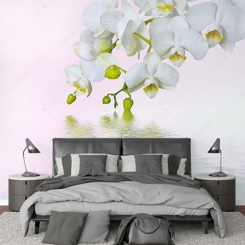 Красивая ветка белой орхидеи