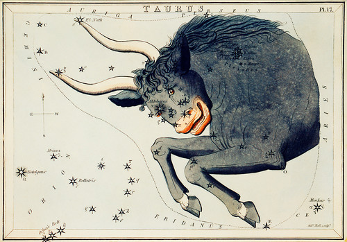 Астрономическая карта Тельца, сделанная Сидни Холлом