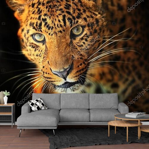 Леопарда портрет на черном фоне