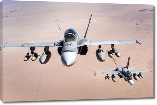 Истребитель F-18 в паре летит на задание