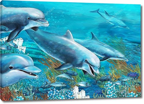 Дельфины в  коралловых рифах