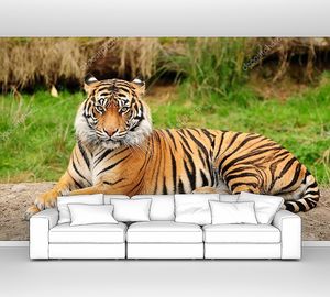 Портрет Королевского бенгальского тигра