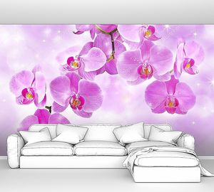 Цветы орхидеи на розовом фоне