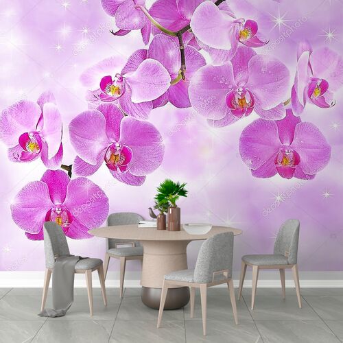 Цветы орхидеи на розовом фоне