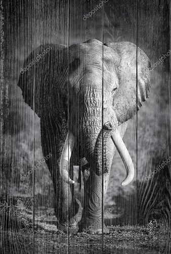 Портрет большого слона