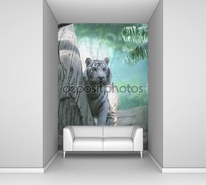 Белый тигр в индийских джунглях