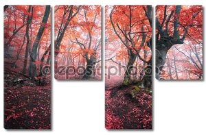 Красный лес в тумане осенью