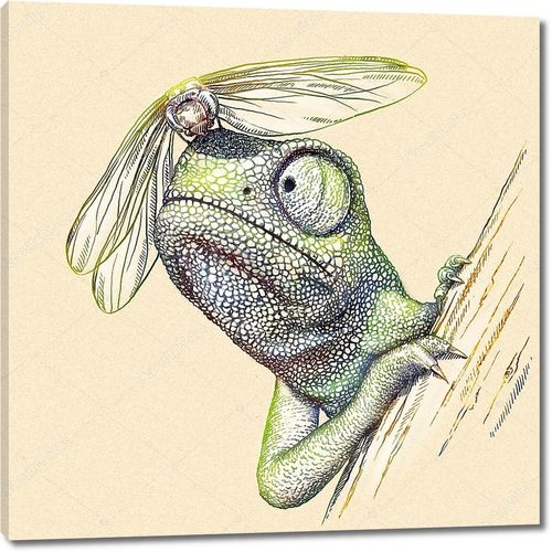 Рисунок хамелеона со стрекозой