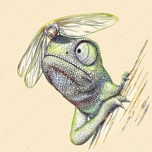 Рисунок хамелеона со стрекозой