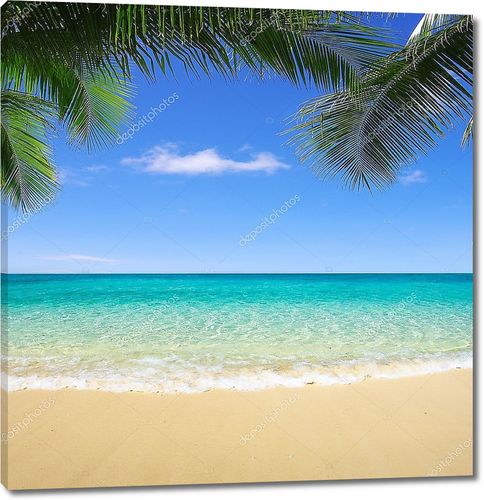 Пляж и тропическое море