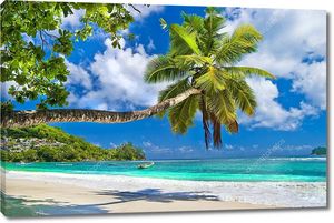 Идиллический тропический пейзаж - Сейшельские острова