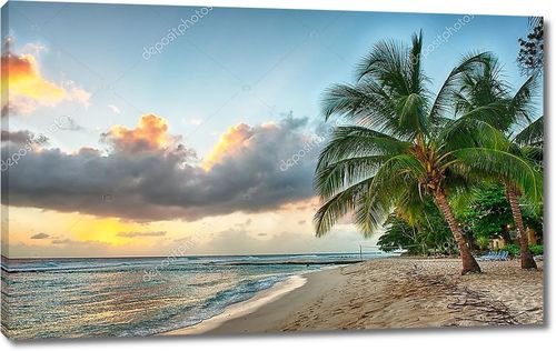 Красивый закат над морем с видом на пальмы